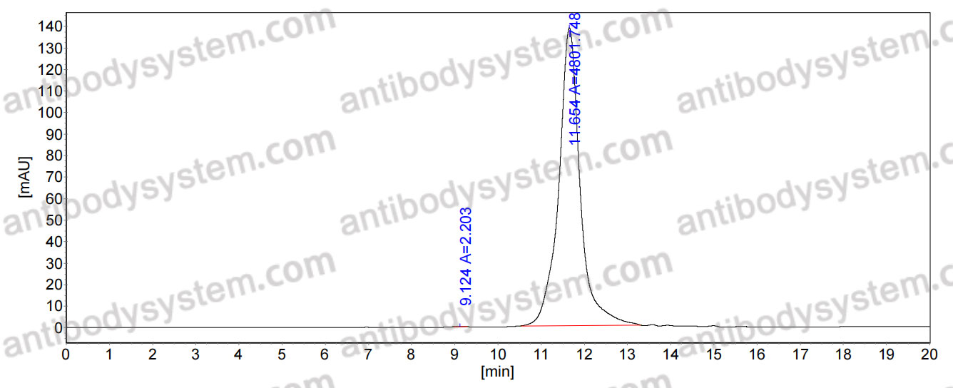 InVivoMAb Anti-Nipah virus/NiV Prefusion Antibody (1H8)